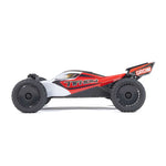 ARA2106 TYPHON GROM MEGA 380 Brushed 4X4 Small Scale Buggy RTR with Battery & Charger-1/18 BUGGY-Mike's Hobby