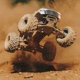 ARA3530SFFT1 1/10 ARRMA FREEDOM FLYER 223S (Battery & Charger Included)-Cars & Trucks-Mike's Hobby