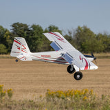 EFL-3352 Timber 1.5m 10th Anniversary Special Edition BNF Basic with AS3X+ and SAFE Select-Planes-Mike's Hobby