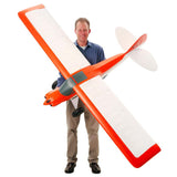 EFL124500 Carbon-Z Cub SS 2.1m BNF Basic with AS3X and SAFE Select-Planes-Mike's Hobby