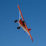 EFL124500 Carbon-Z Cub SS 2.1m BNF Basic with AS3X and SAFE Select-Planes-Mike's Hobby