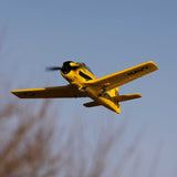 HBZ-1228 HOBBYZONE T-28 Trojan 450mm RTF with SAFE (2 Flight Batteries Included)-Planes-Mike's Hobby