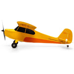 HBZ04900 HobbyZone Champ Anniversary Special Edition 515mm RTF with SAFE-Planes-Mike's Hobby