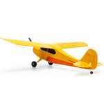 HBZ04900 HobbyZone Champ Anniversary Special Edition 515mm RTF with SAFE-Planes-Mike's Hobby