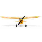 HBZ04900 HobbyZone Champ Anniversary Special Edition 515mm RTF with SAFE-Planes-Mike's Hobby