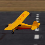 HBZ04900 HobbyZone Champ Anniversary Special Edition 515mm RTF with SAFE-Planes-Mike's Hobby