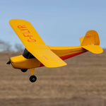 HBZ04900 HobbyZone Champ Anniversary Special Edition 515mm RTF with SAFE-Planes-Mike's Hobby