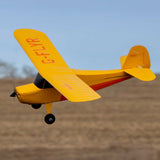 HBZ04900 HobbyZone Champ Anniversary Special Edition 515mm RTF with SAFE-Planes-Mike's Hobby