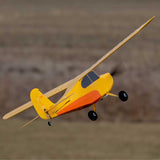 HBZ04900 HobbyZone Champ Anniversary Special Edition 515mm RTF with SAFE-Planes-Mike's Hobby