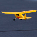 HBZ04900 HobbyZone Champ Anniversary Special Edition 515mm RTF with SAFE-Planes-Mike's Hobby
