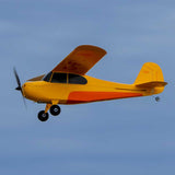 HBZ04900 HobbyZone Champ Anniversary Special Edition 515mm RTF with SAFE-Planes-Mike's Hobby