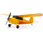 HBZ04900 HobbyZone Champ Anniversary Special Edition 515mm RTF with SAFE-Planes-Mike's Hobby