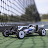 LOS00007 1/24 Micro-B 2WD Buggy RTR-Mini Buggy-Mike's Hobby