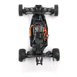 LOS00007 1/24 Micro-B 2WD Buggy RTR-Mini Buggy-Mike's Hobby