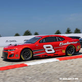 LOSF1122508 1/12 Losi NASCAR Dale Earnhardt Jr. No. 8 Budweiser (Battery & Charger Included)-Cars & Trucks-Mike's Hobby