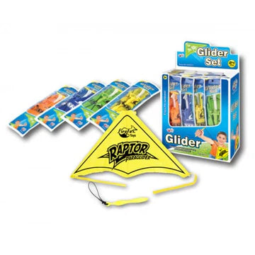 RAPTOR PARAGLIDER-GLIDER-Mike's Hobby
