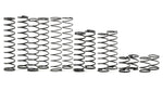 YEA-DDL-110BK Yeah Racing 110mm Desert Lizard Two Stage Internal Spring Shock (2) (Black)-Shocks-Mike's Hobby