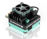 CYEA11002 Cayote Crest RS120 1/10 Stock 120A Sensored Brushless Competition ESC-ESC AND MOTORS-Mike's Hobby