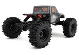 RER42222 Redcat Ascent-18 Apex 1/18 4WD RTR Brushless Rock Crawler (Dark Metallic Gray) w/2.4GHz Radio, Battery & Charger-Cars & Trucks-Mike's Hobby