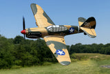 RGRA1305 Curtiss P-40 Warhawk Micro RTF Airplane with PASS (Pilot Assist Stability Software) System-Planes-Mike's Hobby