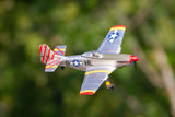 RGRA1600 P-51D Mustang 500mm Brushless RTF Warbird with PASS (Pilot Assist Stability Software) System-Planes-Mike's Hobby