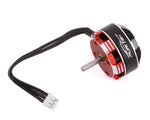 Furitek SCX24 Komodo Brushless Conversion Set-MOTORS-Mike's Hobby