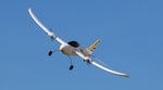 Duet RTF, 523mm-Planes-Mike's Hobby