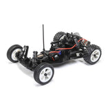 1/16 Mini JRX2 Brushed 2WD Buggy RTR-RC CAR-Mike's Hobby