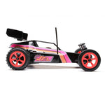 1/16 Mini JRX2 Brushed 2WD Buggy RTR-RC CAR-Mike's Hobby