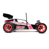 1/16 Mini JRX2 Brushed 2WD Buggy RTR-RC CAR-Mike's Hobby